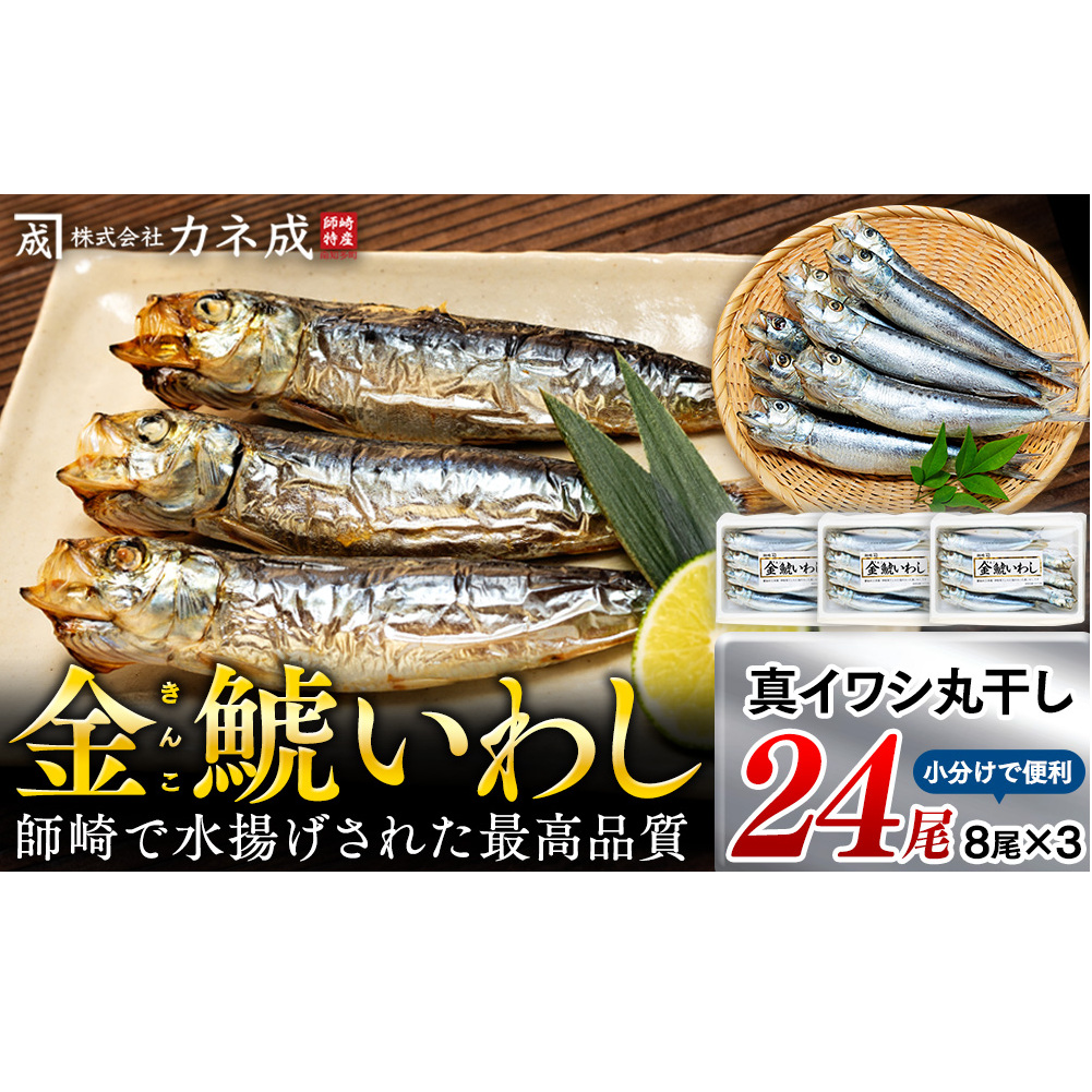 いわし 丸干し 24尾 ( 8尾 × 3 パック ) 干物 冷凍 小分け 愛知県 南知多町 ご飯 ごはん おかず おつまみ 魚 さかな 鰯 金鯱 イワシ 栄養 料理 国産 カネ成 人気 おすすめ愛知県南知多町6000魚介