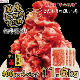 牛肉 切り落とし 400g×4P 計1.6kg  (10人前) 知多牛 響愛知県南知多町27000肉牛肉