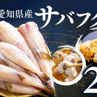 訳あり サバフグ むき身 2kg ( 500g × 4パック ) 鍋 唐揚げ 塩 焼き 小分け 魚 河豚 さかな 魚介 海鮮 新鮮 海の幸 フグ グリル 冷凍 愛知県 南知多町 人気 おすすめ 【離島不可】愛知県南知多町15