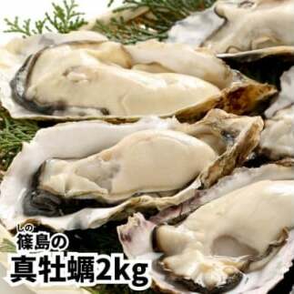 牡蠣 殻付き 真牡蠣 2kg 生食用 冷凍 海鮮 貝 海産物 バーベキュー BBQ 魚貝類 海の幸 海のミルク 海鮮浜焼き 夏 おすすめ 人気 愛知県 南知多町 篠島【配送不可地域:離島】愛知県南知多町1500