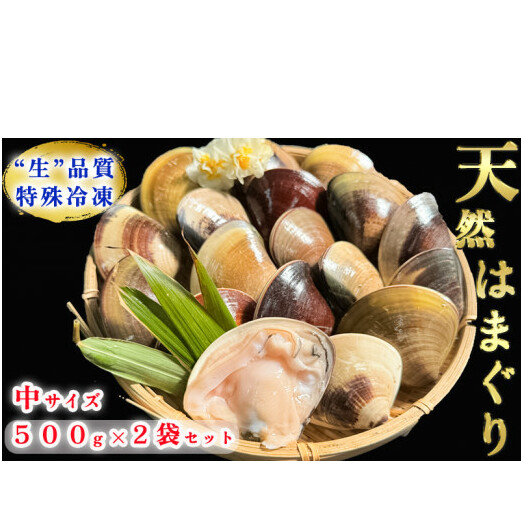 岬だより 希少 天然はまぐり 中サイズ 500g×2袋愛知県南知多町14000魚介・海産物貝類