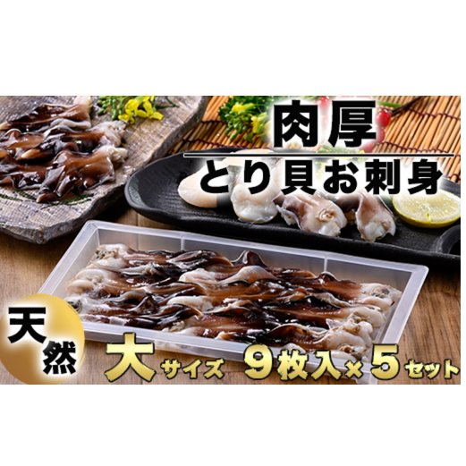 【天然】肉厚とり貝お刺身 とり貝【大9枚入り】5セット 岬だより愛知県南知多町46000魚介・海産物その他 魚介・海産物