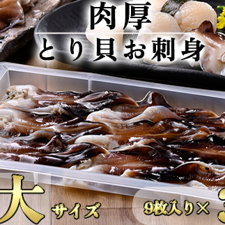 【天然】肉厚とり貝お刺身 とり貝【特大9枚入り】3セット 岬だより愛知県南知多町48000魚介・海産物その他 魚介・海産物