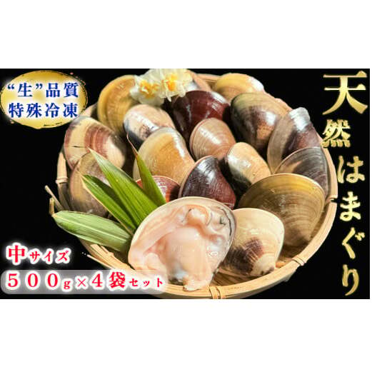 岬だより 希少 天然はまぐり 中サイズ 500g×4袋愛知県南知多町27000魚介・海産物貝類