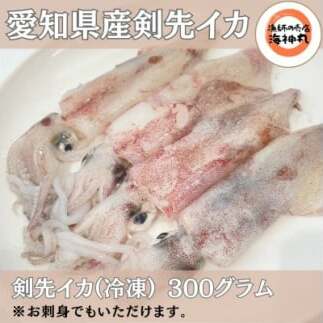 愛知県産 剣先イカ(アカイカ)2袋愛知県南知多町10000魚介・海産物イカ・タコ・ウニ