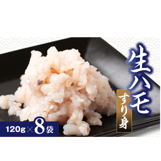 生 ハモ すり身 120g × 8袋入り 冷凍 鱧 真空包装 お吸い物 鍋物 おでん 海鮮 新鮮 魚介 海の幸 海産物 シーフードエム・エム 愛知県 南知多町愛知県南知多町20000魚介・海産物その他 魚介・海