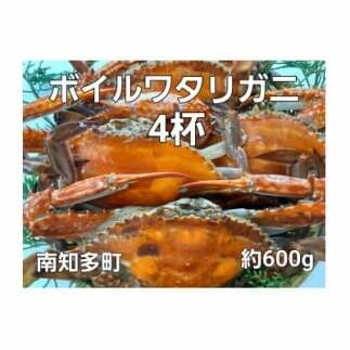 {C ^Kj 600g 4t Ⓚ nI CN VN  C̍K CY V[t[hGEG m mmm20000ECYJj
