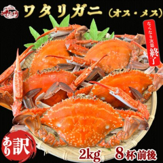 ́ږ󂠂聄͑FȂ! VR {C ^Kj(IXEX)2kg[8tO]mm56000ECYJj