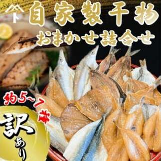 <訳あり>自家製干物おまかせ詰合せ 約5〜7種愛知県南知多町12000魚介・海産物その他 魚介・海産物