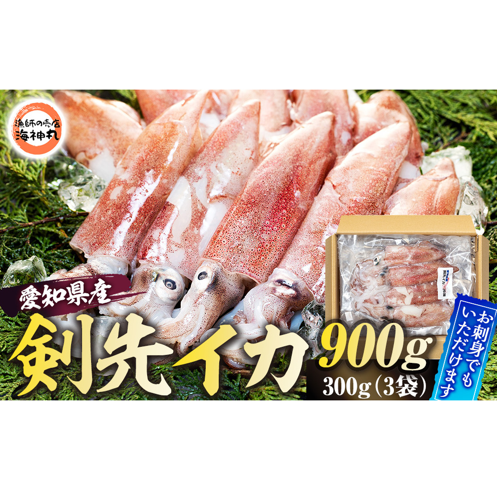 愛知県産 剣先イカ(アカイカ)3袋愛知県南知多町13000魚介・海産物イカ・タコ・ウニ
