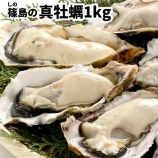 特上・篠島の殻付き真牡蠣1kgセット(生食用かき・CAS冷凍カキ)海鮮バーベキューBBQ、浜焼きに愛知県南知多町10000魚介・海産物鮮魚