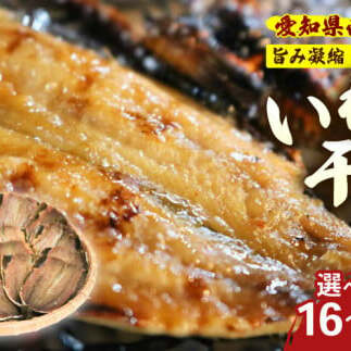 【 容量 選べる 】訳あり いわし 干物 16〜48尾 冷凍 国産 パック 小分け 開き 便利 ご飯 イワシ ごはん 魚 さかな いわし 簡単 調理 干物 真イワシ ご飯のお供 つまみ 干物 酒の肴 鰯 晩酌 おか