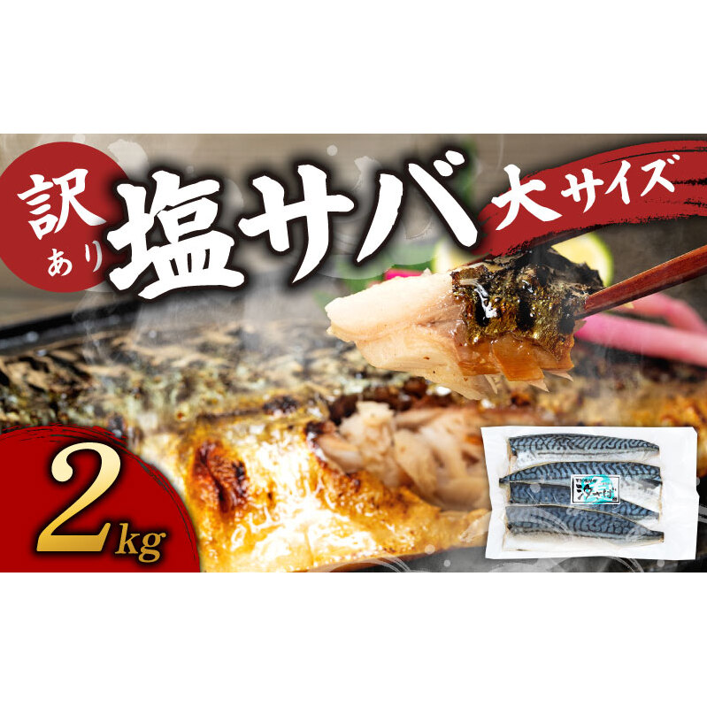 󂠂艖To tB2kgmm15000ECY̑ ECY