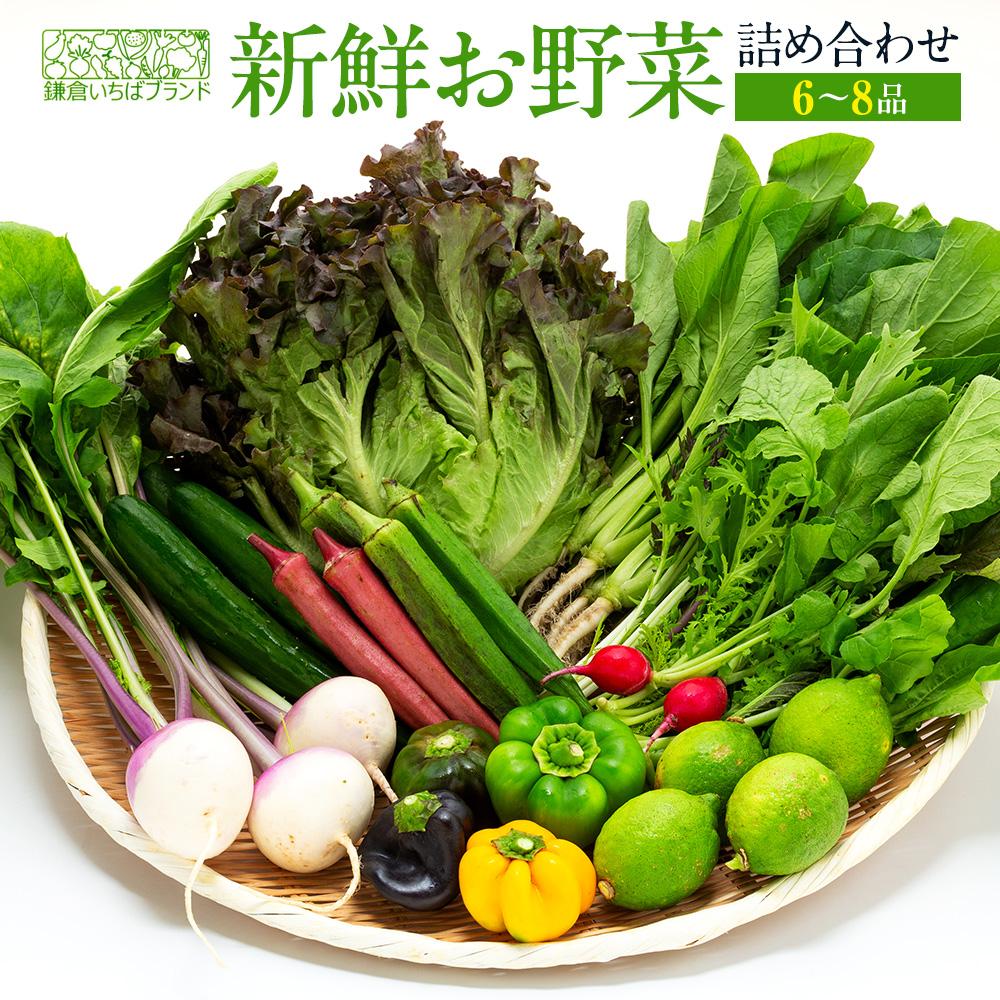 「鎌倉いちばブランド」新鮮お野菜詰め合わせセット  6〜8品神奈川県鎌倉市8000野菜・きのこその他 野菜