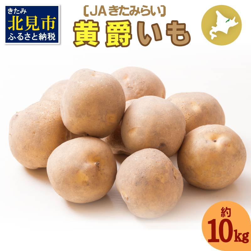 【予約:2024年10月中旬から順次発送】北海道 JAきたみらい「黄爵(とうや)いも」10kg ( 期間限定 野菜 芋 )【005-0013-2024】北海道北見市12000野菜・きのこじゃがいも・イモ類
