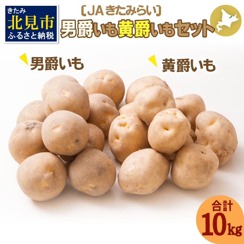 y\F2024N10{珇zJA݂炢uj݂E(Ƃ)Zbgv10kg ( Ԍ  Zbg  )y005-0019-2024zkCks15500؁ÊႪEC