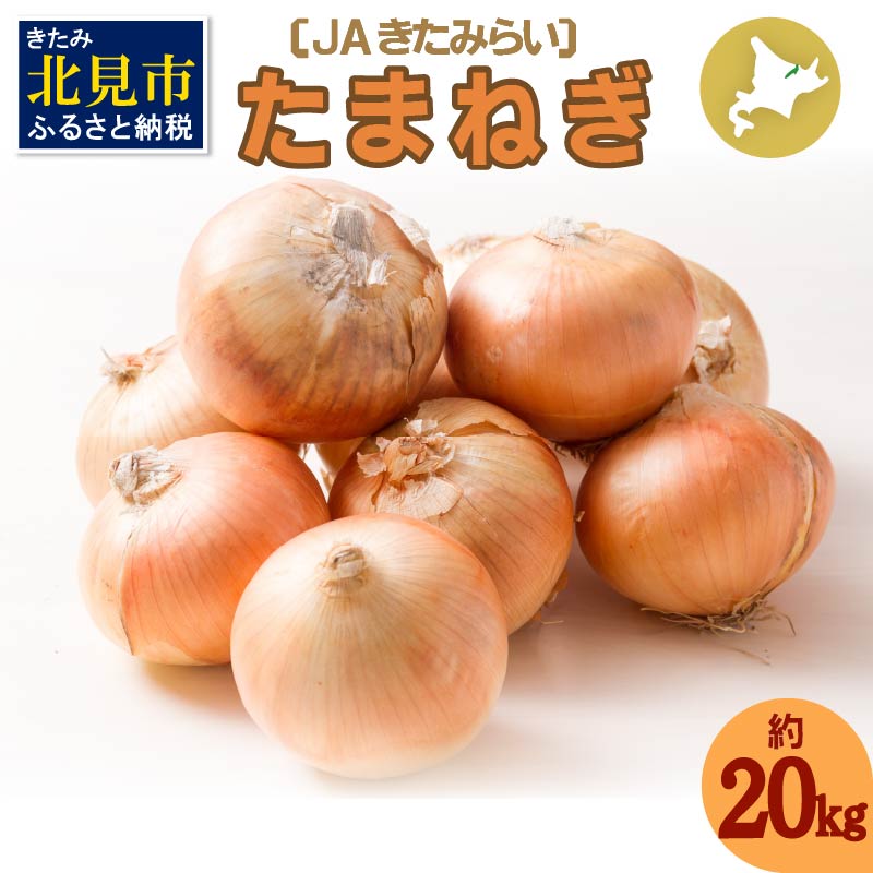 【予約:2024年10月上旬から順次発送】北海道 JAきたみらい「たまねぎ」20kg ( 期間限定 野菜 玉ねぎ 玉葱 )【005-0024-2024】北海道北見市15500野菜・きのこ玉ねぎ・ねぎ