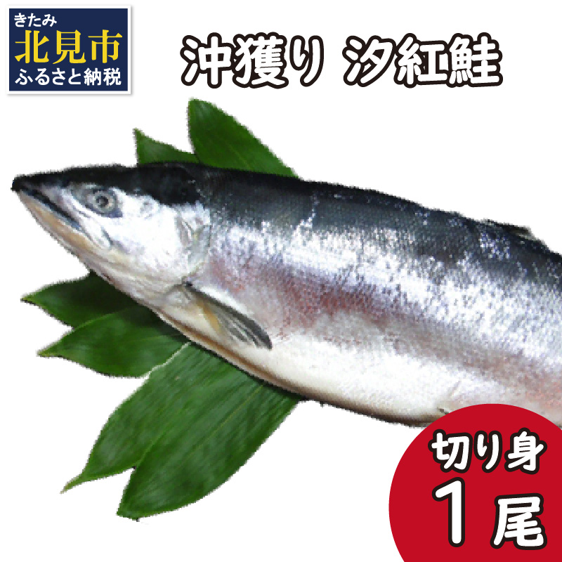 沖獲り 汐紅鮭 切り身 1尾 ( さけ 鮭 紅鮭 魚 魚介類 ふるさと納税 )【017-0016】北海道北見市36000魚介・海産物その他 魚介・海産物