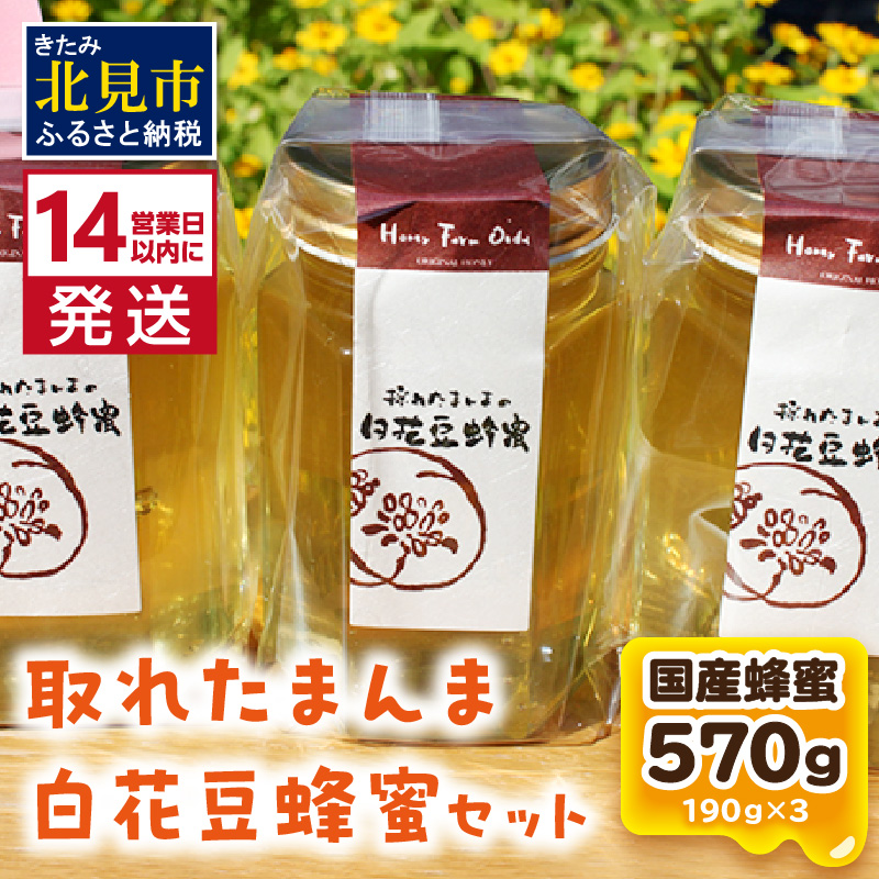 《14営業日以内に発送》採れたまんまの白花豆蜂蜜 190g×3本セット ( 蜂蜜 はちみつ ハチミツ 蜜 甘い 白花豆 蜂 純粋蜂蜜 贅沢 国産 酸味 おいしい おやつ 天然 自然 )【022-0011】北海道北見市17
