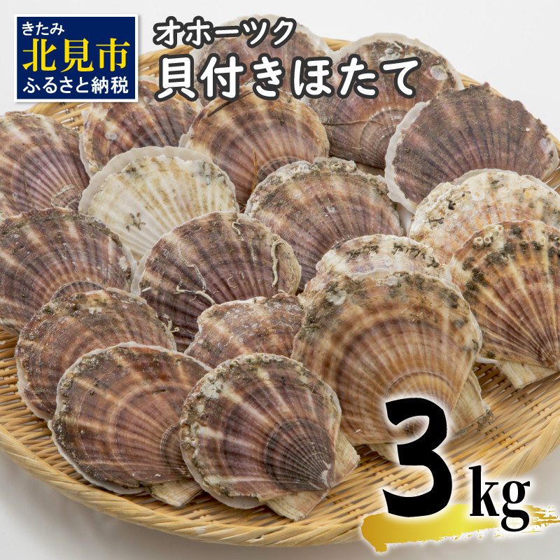 Iz[cNLtق 3kg(15`25)( CN   L L z^e ق  kt L  Mtg 蕨  j BBQ o[xL[ )y031-0012zkCks16500EC