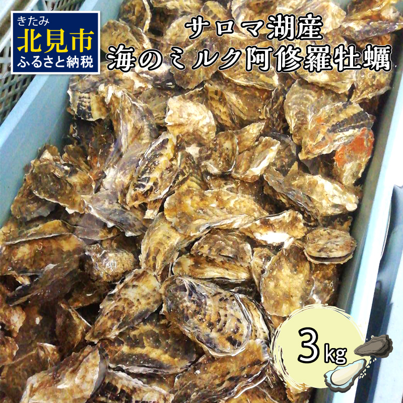 【予約:2025年10月中旬から順次発送】サロマ湖産 海のミルク 阿修羅牡蠣 3kg ( 期間限定 新鮮 生食 生ガキ カキ かき 3キロ 道産 オホーツク海産 海鮮 魚介類 貝類 生 )【031-0014】北海道北見市1