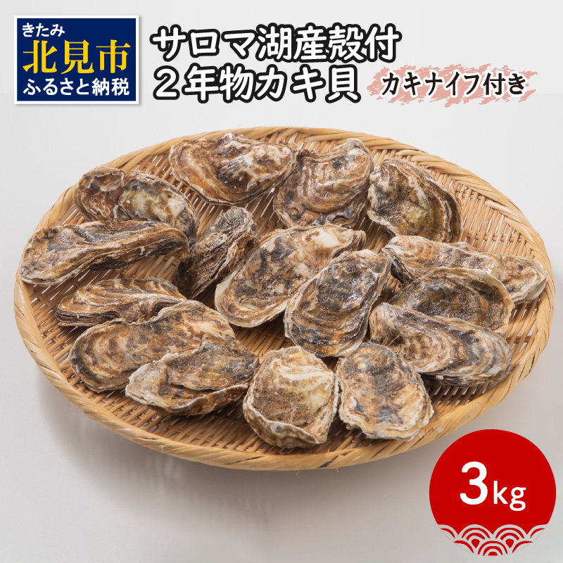 【予約:2025年10月より順次発送】【カキナイフ付】海のミルクサロマ湖産殻付2年物カキ貝 3kg 20〜30個入 ( 海鮮 貝 牡蠣 カキ お祝い 熨斗 BBQ )【031-0017】北海道北見市16500魚介・海産物