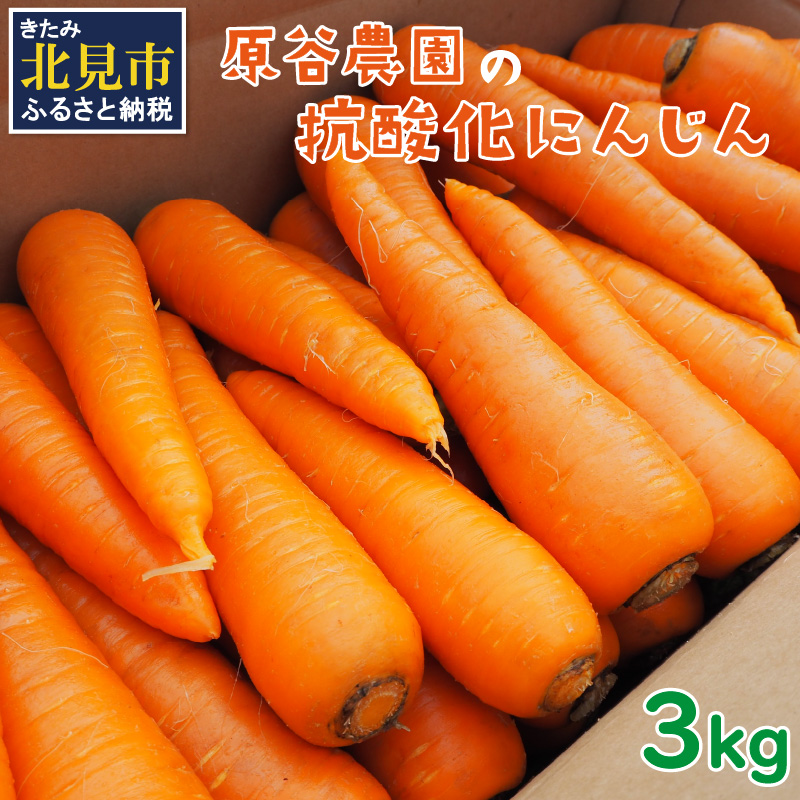 【予約:2024年8月中旬から順次発送】原谷農園の抗酸化にんじん 3kg ( 野菜 人参 農園 期間限定 ふるさと納税 )【058-0001-2024】北海道北見市5500野菜・きのこ大根・ニンジン・根菜類