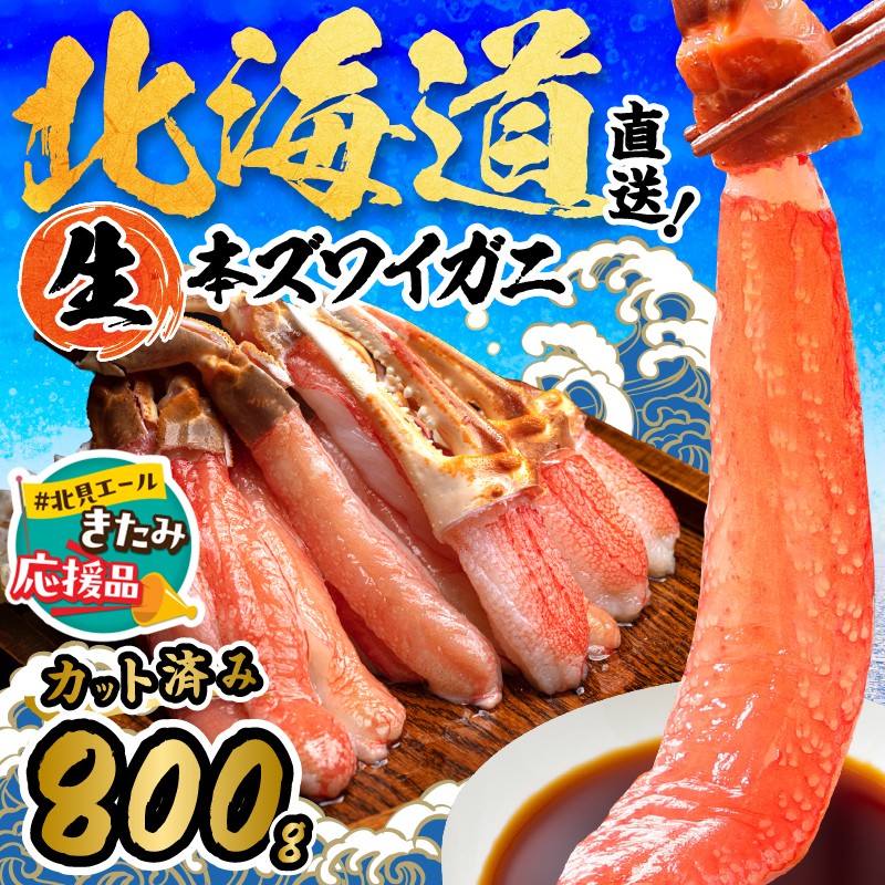ykԗizksH {YCKjZbg 800g z ( CN   I  Jj Zbg  Jj Jj YCKj ɂ Jbg  Mtg l ̂ ӂ邳