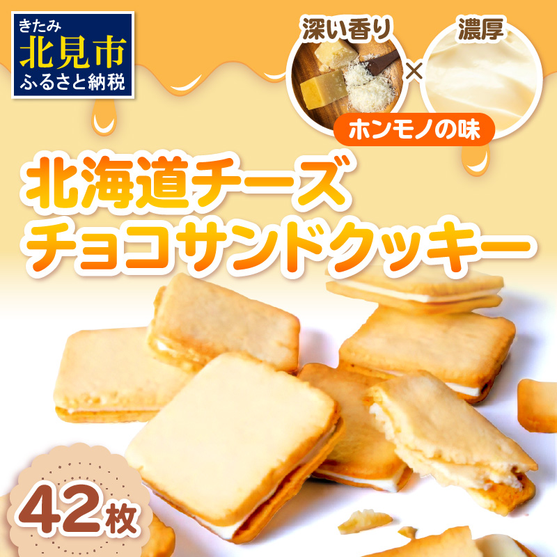 kC `[Y`RThNbL[ 42 ( NbL[ `[Y XC[c َq `RTh )y101-0008zkCks13000َqEXC[c̑ mَq