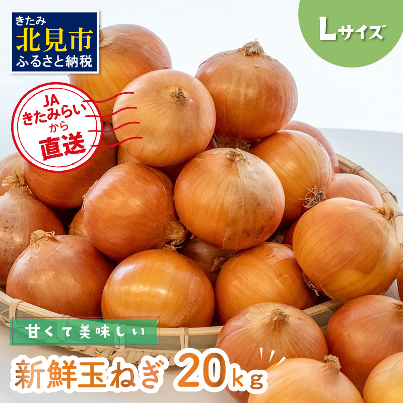 【予約:2025年10月中旬から順次発送】☆日本農業賞大賞受賞☆JAきたみらいから直送する甘くて美味しい新鮮玉ねぎ 20kg Lサイズ ( たまねぎ 野菜 北海道 玉葱 )【104-0008-2025】北海道北見市15000