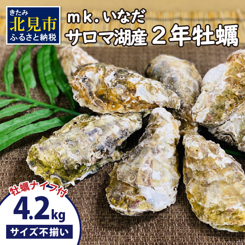 y\F2025N10{珇zT}ΎY kt2Ny 4.2kg TCYs yiCtt ( JL  4.2L  CN L ӂ邳Ɣ[ BBQ o[xL[ )y113-0014-2025zkCk