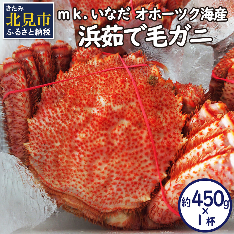 オホーツク海産 浜茹で毛ガニ 約450g×1杯 ( 海鮮 かに カニ 蟹 毛ガニ ボイル 贈答 ギフト 急速冷凍 )【113-0011】北海道北見市23500魚介・海産物カニ