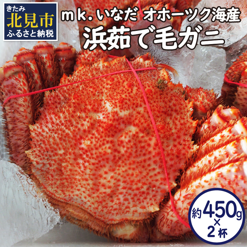オホーツク海産 浜茹で毛ガニ 約450g×2杯 ( 海鮮 かに カニ 蟹 毛ガニ ボイル 贈答 ギフト )【113-0013】北海道北見市40000魚介・海産物カニ