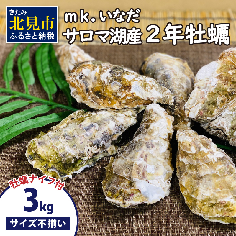 【予約:2025年10月下旬から順次発送】サロマ湖産 殻付き2年牡蠣 3kg サイズ不揃い ※牡蠣ナイフ付 ( カキ かき 3キロ 魚介 海鮮 貝 ふるさと納税 BBQ バーベキュー )【113-0015-2025】北海道北見市1