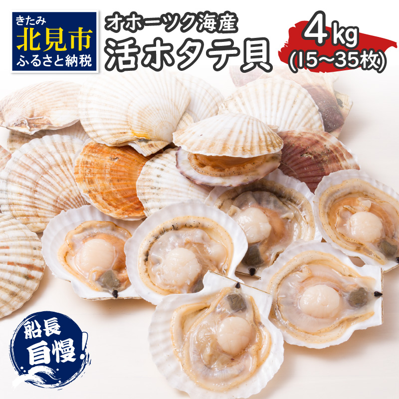 とれたて新鮮!オホーツク海産 活ホタテ貝 4kg 15〜35枚 ( 魚介 海鮮 貝 帆立 ほたて ホタテ 4キロ カレー シチュー 肉厚 )【114-0048】北海道北見市14000魚介・海産物貝類
