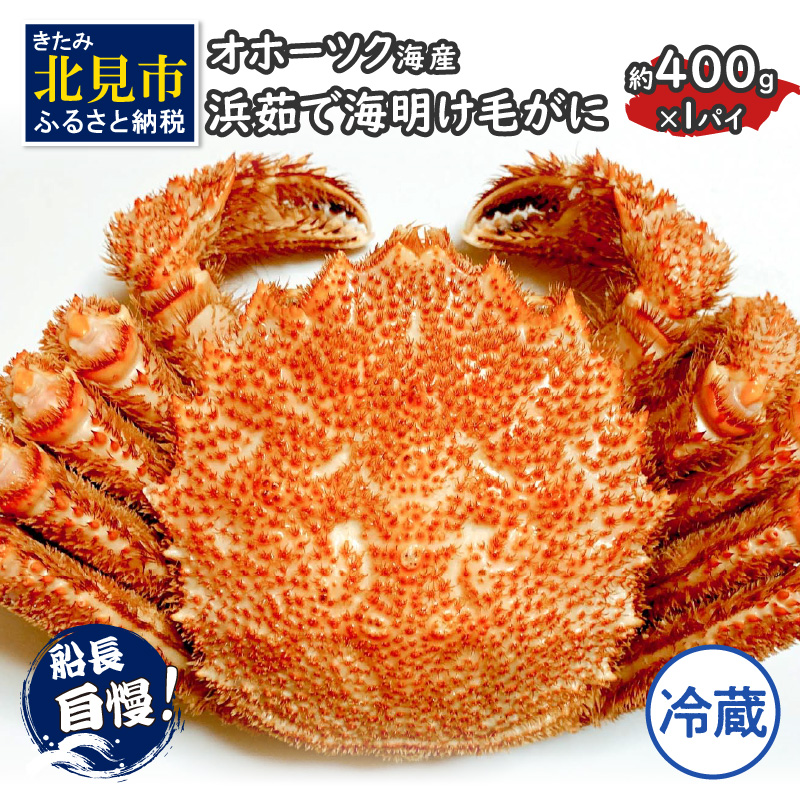 【予約:2025年3月下旬から順次発送】【旬の浜ゆで毛ガニを冷蔵便で】オホーツク海産 浜茹で海明け毛がに 約400g×1パイ 冷蔵 ( かに 蟹 魚介類 海鮮 )【114-0017-2025】北海道北見市18000魚介・海