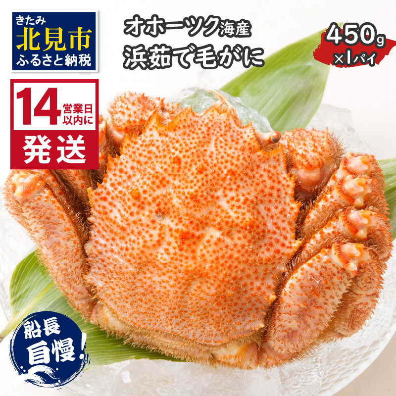 《14営業日以内に発送》オホーツク海産 浜茹で毛がに 450g×1パイ 冷凍 ( かに カニ 毛ガニ 魚介類 蟹 )【114-0019-2025】北海道北見市23000魚介・海産物カニ