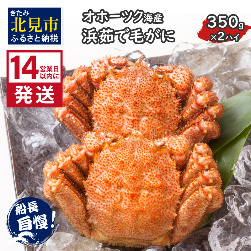 s14cƓȓɔtIz[cNCY l䥂Ŗт 350g×2nC Ⓚ (  Jj уKj  I )y114-0021-2024zkCks36000ECYJj
