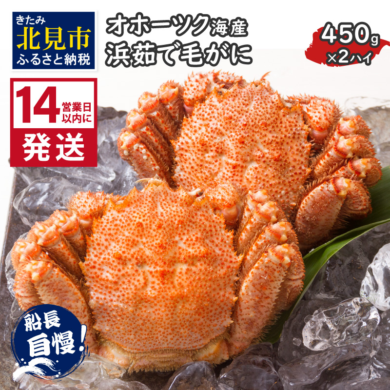 s14cƓȓɔtIz[cNCY l䥂Ŗт 450g×2nC Ⓚ (  Jj уKj  I )y114-0031-2024zkCks44000ECYJj