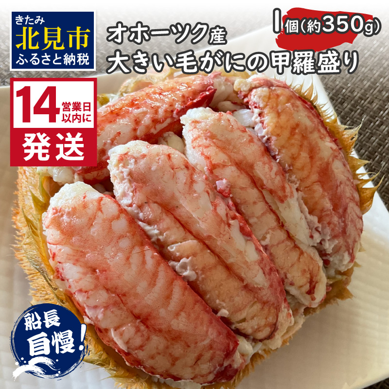 s14cƓȓɔtIz[cNY 傫тɂ̍b 1 Ⓚ ( т  Jj I  kC |i `[Y O^ Iz[cNC )y114-0040zkCks35500E