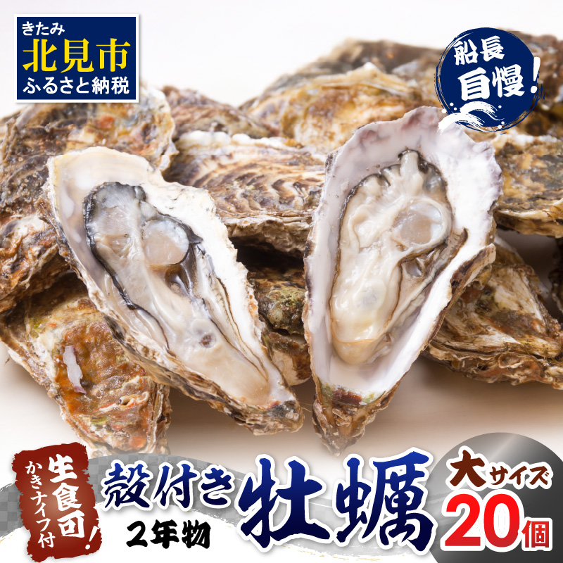 【予約:2025年11月中旬から順次発送】サロマ湖自慢の殻付きカキ貝 2年物 大 20個 ( 牡蠣 かき 濃厚 大きい 魚介類 貝類 殻付 殻付き牡蠣 BBQ バーベキュー )【114-0045】北海道北見市19500魚介・海