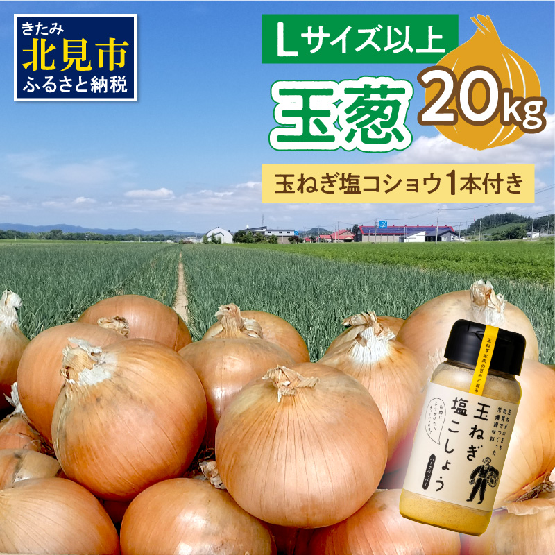 y\F2025N11珇zʔK 20kg LTCYȏ ʂ˂傤 1{t ( ^}lM ʔK   RVE )y148-0013-2025zkCks15000؁Êʂ˂E˂