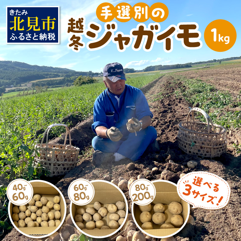 【予約:2026年2月上旬から順次発送】【選べる3サイズ】宇野さんの手拾い、手選別の越冬ジャガイモ 1kg ( 芋 野菜 選べる )【167-0001-2026】北海道北見市7000野菜・きのこじゃがいも・イモ類