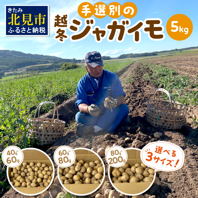 【予約:2026年2月上旬から順次発送】【選べる3サイズ】宇野さんの手拾い、手選別の越冬ジャガイモ 5kg ( 芋 野菜 選べる )【167-0003-2026】北海道北見市15000野菜・きのこじゃがいも・イモ類