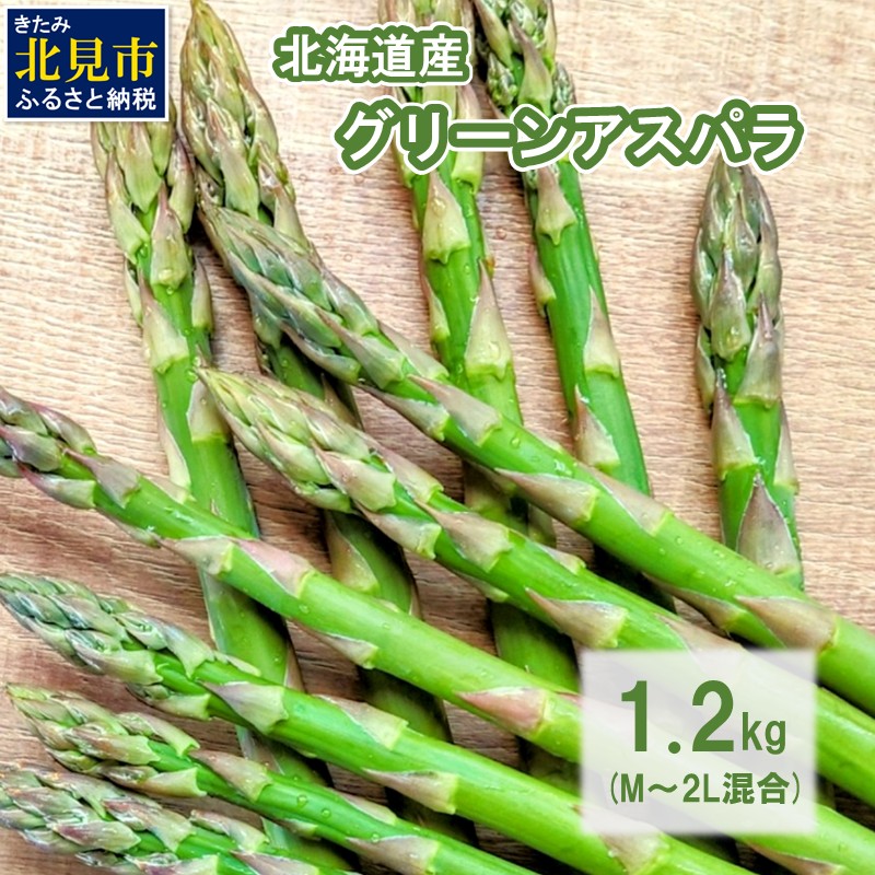 ŷ꒼Izق̂Ât̖oIkC̃O[AXp 1.2kg M`2LTCY ( AXpKX O[ kC Iz[cN Â { T_ ) y172-0002zkCks12000