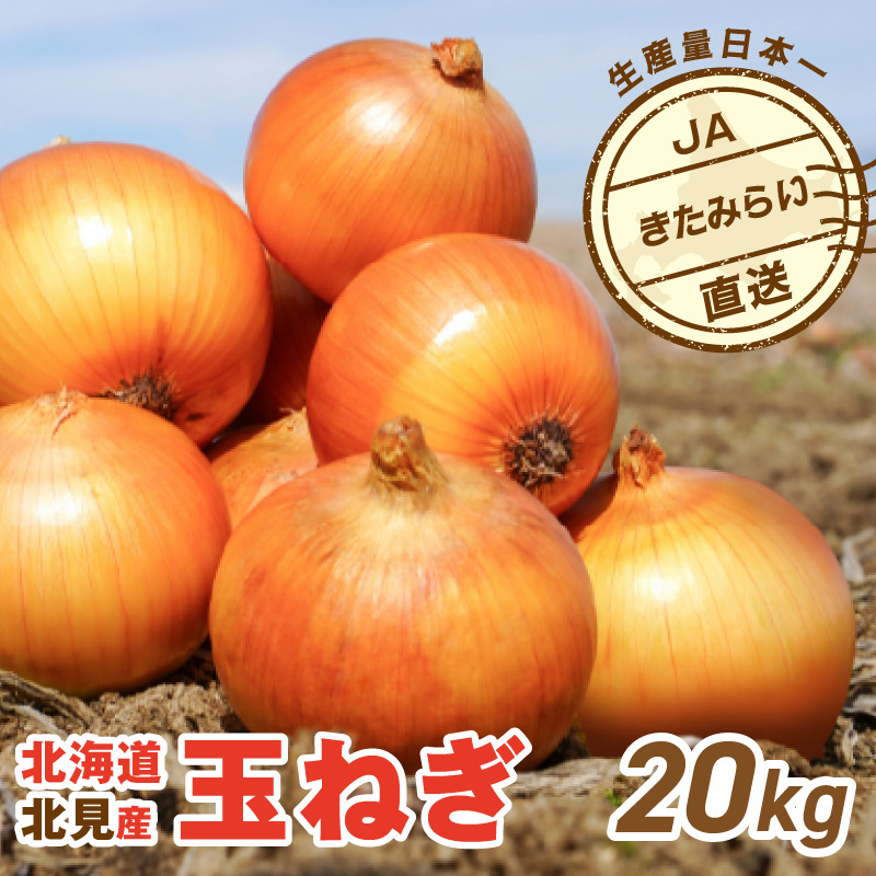 JA݂炢Y ʂ˂ LTCY 20kg ( ^}lM ܂˂  )y210-0004zkCks13000؁Ê