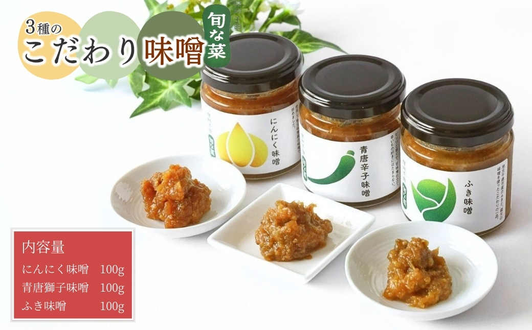 こだわり味噌 3種 (ふき・にんにく・青唐辛子)|手作り味噌 ふき味噌 にんにく味噌 青唐辛子味噌 発酵調味料 発酵食品 信州味噌 長野県産 千曲市長野県千曲市9000調味料・油味噌