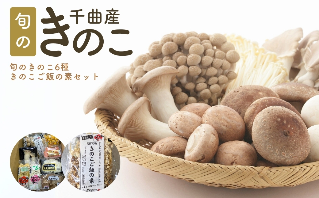 旬のきのこ6種+きのこご飯の素セット 有機栽培 信州 長野県産 千曲市長野県千曲市13000野菜・きのこきのこ