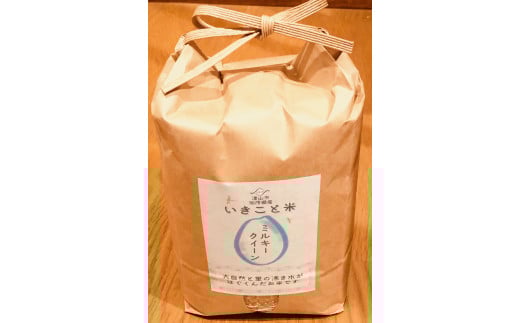 こだわり玄米 2.7kg【009-a009】岡山県鏡野町11000米・パン玄米・雑穀米・もち米・餅