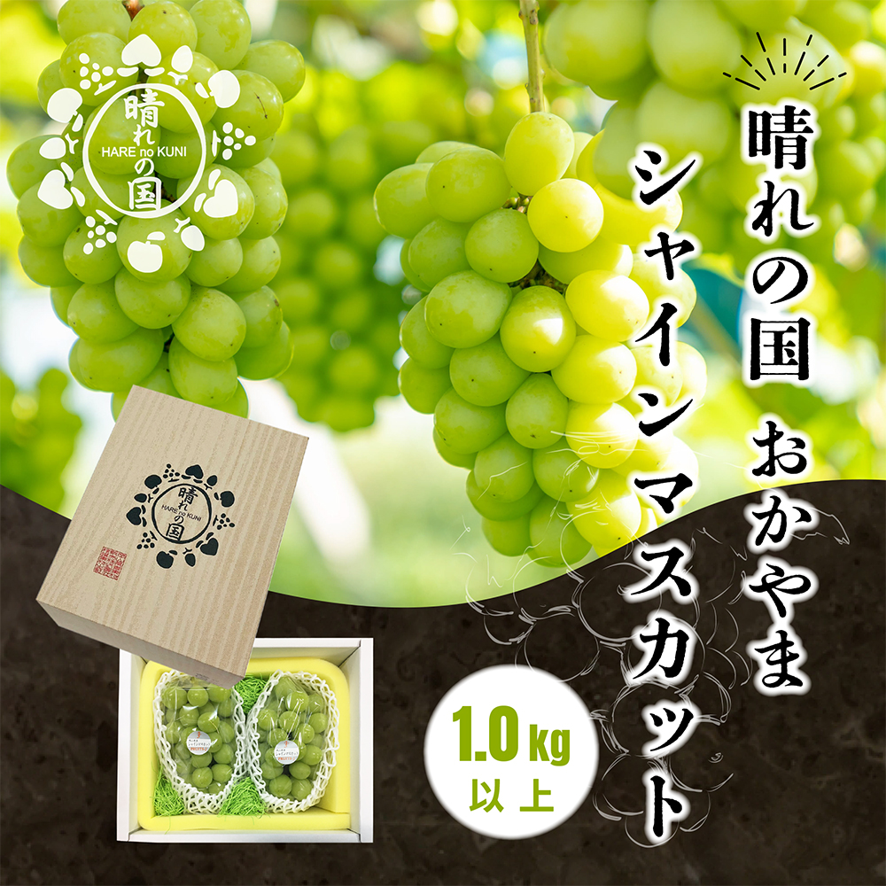 【先行予約 2025年9月上旬発送】岡山県産シャインマスカット 1.0kg(2から3房)【021-a019】岡山県鏡野町13500果物・フルーツマスカット・ぶどう